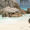 La Digue, Seychelles...