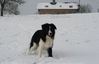 il a rencontré Vick, un pepere de la meme ra