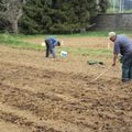 le 16 avril 2011, premières plantations