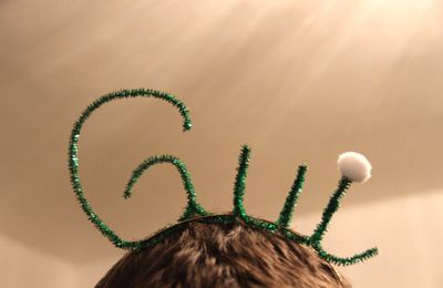 Réveillon du 31 : le gui du Nouvel An en DIY