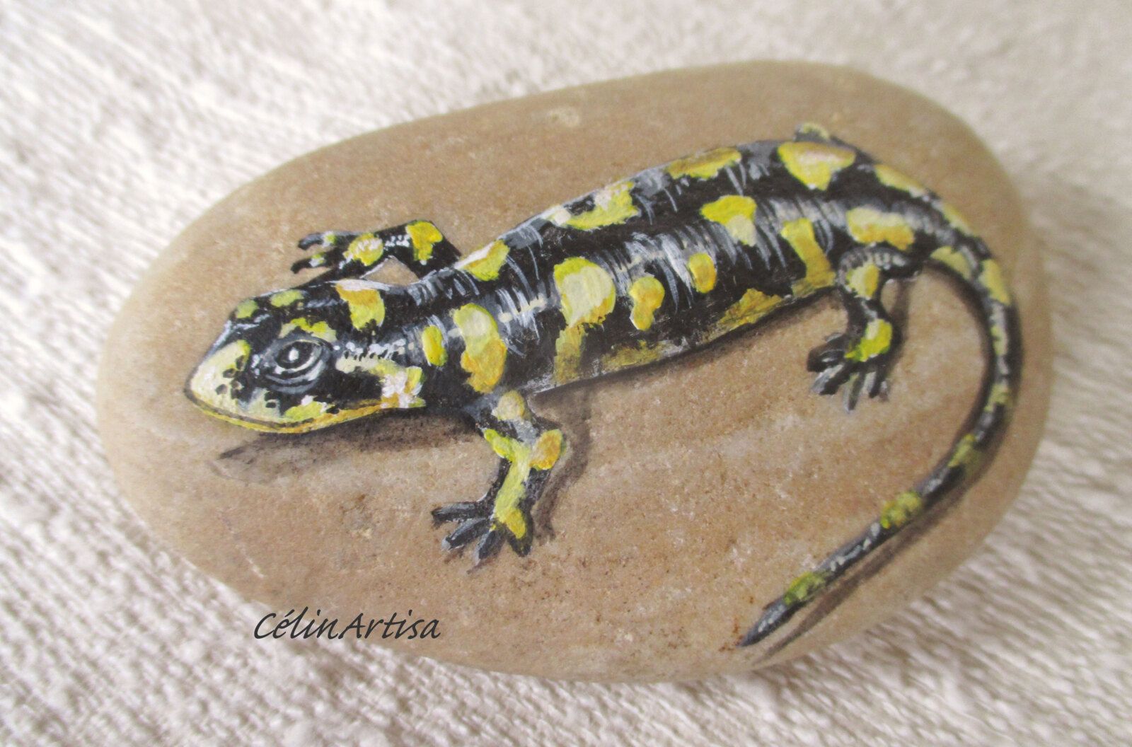 salamandre - acrylique sur galet