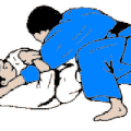 ude gatame