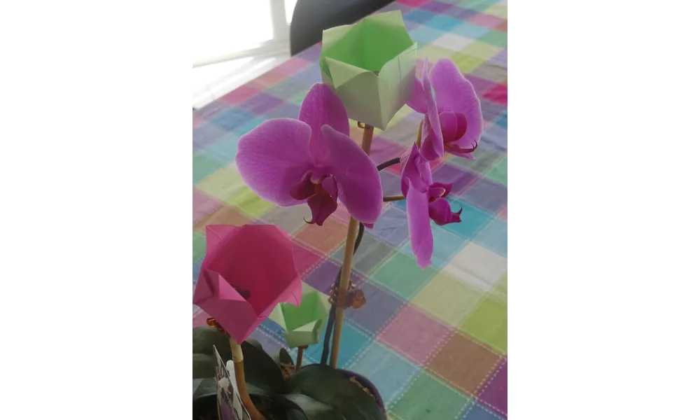 tulipes en origami