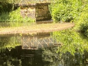 De la nature avant tout