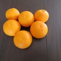 Oranges du jardin