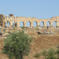 Meknès … Volubilis … Fes.... Une part d'emotion, d'admiration, de cauchemar....