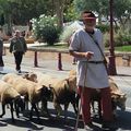 La fête Médiévale des Arcs sur Argens 2017 : La grande Parade