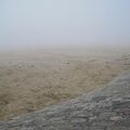 Brouillard (Sebarjo)