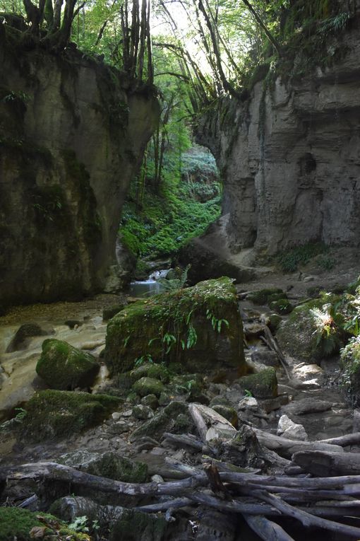 Combe du Grenand - Cascades (73)