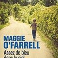 Les bleus de Maggie