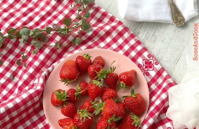 Quelle fraise choisir ? {retour sur ma participation à #Villagesemence au salon de l'agriculture}