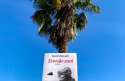 ✨ CHRONIQUE ✨ Envole-moi - Sarah Barukh