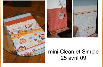 Stage Mini Clean & Simple - samedi 25 avril (petit rappel)