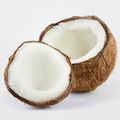 La solidité de la noix de coco