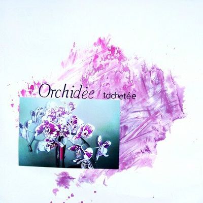 Orchidée tachetée