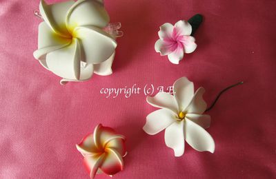 Fleurs artificielles de Polynésie