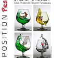 SALON INTERNATIONAL PHOTOGRAPHIQUE DE PESSAC