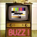 "Buzz !" d'Anne-Gaëlle Huon aux Éditions City