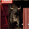 LE DERNIER TOROS DE 2019