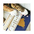 LE CHAT QUI VOULAIT SAUVER LES LIVRES - SOSUKE NATSUKAWA