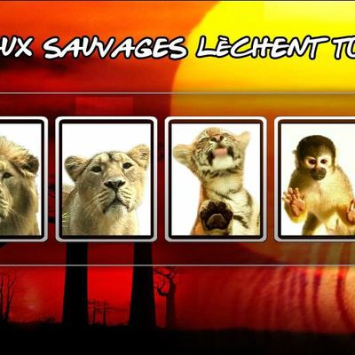 Retrouvez Slurps Sauvage sur votre mobile 