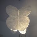 Papillon de lumière