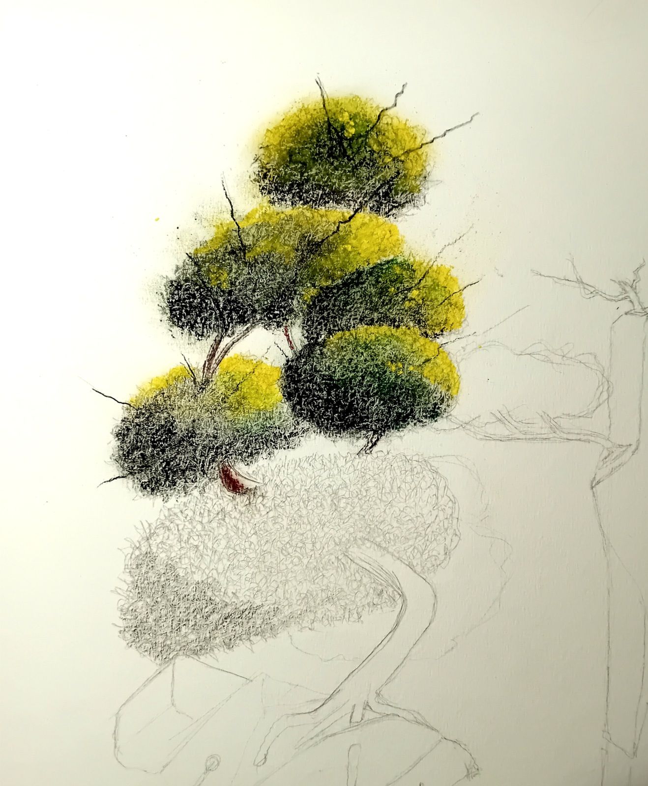 Dessin d'arbre pastel sec, fusain et crayon 