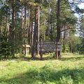 Lituanie - Dans la forêt
