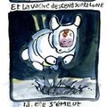 Vache spatiale...
