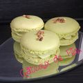 Macarons pistache