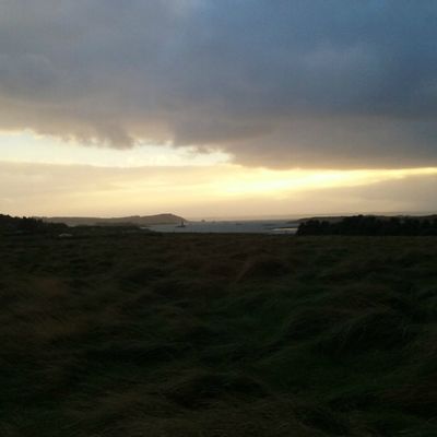 Une bonne année et une excellente santé ...