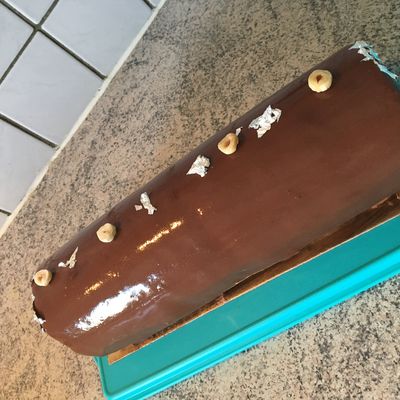 Bûche entremet Chocolat 66% , feuillantine praliné & cœur crème brûlée vanille