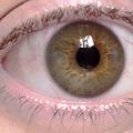 Mon oeil !