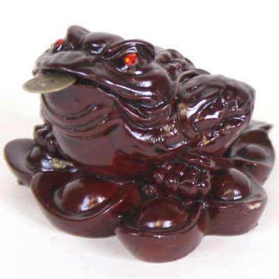 Nouveautés : feng-shui, plantes et pendules