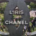 L'Iris de CHANEL au JARDINS JARDIN