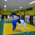 Judo : entraînement commun à plusieurs clubs