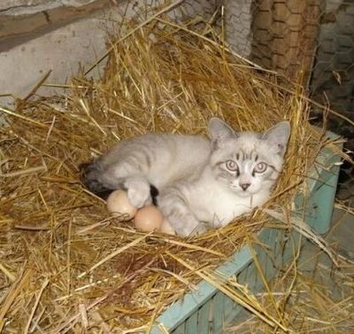 Les rescapés sont au chaud...