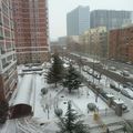 Il a neigé sur Pékin...