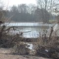 La Loire en gris.