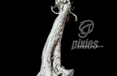 "Beneath the Eyrie" de Pixies : les nouveaux Pixies