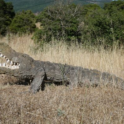 Une rencontre pas très rassurante. 