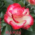 News du dimanche