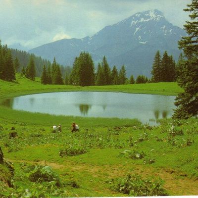 Chatel Haute-Savoie (74) 
