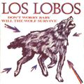 Los Lobos - Don't Worry Baby