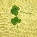 Four leaf shamrock (Episode 2)