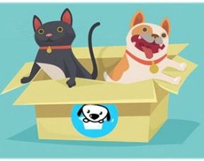 Les box pour animaux en détresse