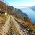 le chemin des vignes