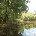 Etang qui déborde encore