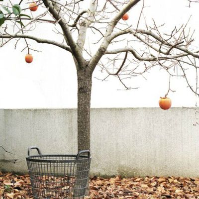 L'automne est là...Jolies photos jolies souvenirs