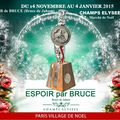 EXPOSITION d'ESPOIR de BRUCE (Bruce de Jaham) sur les CHAMPS ELYSEES à Paris